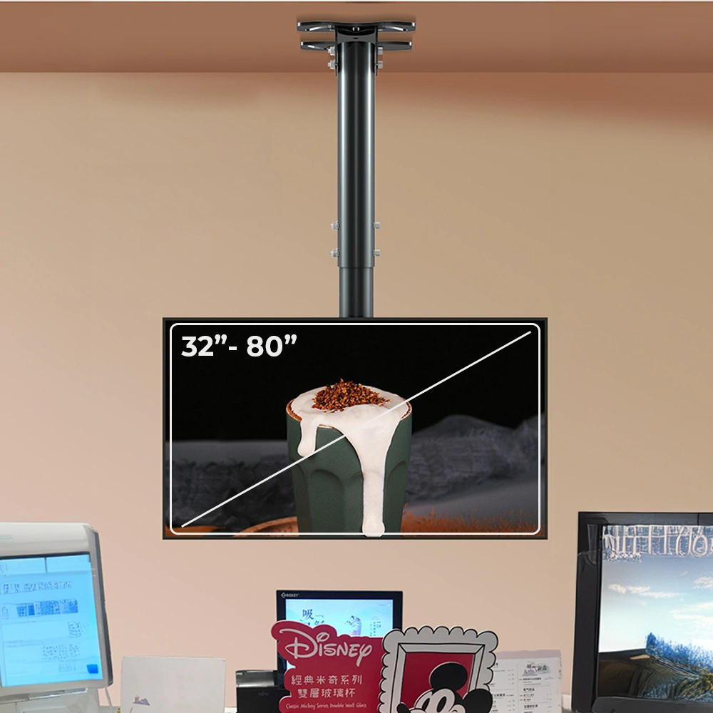 Giá Treo Thả Trần Dài 3M T750 32-80 inch - ảnh 3